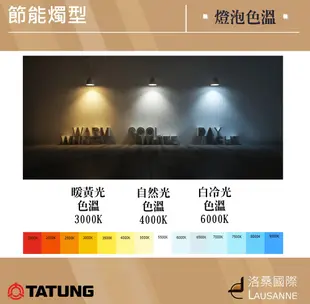 大同 LED 5W燭型燈泡-黃光/白光（２０個／１入） (6.8折)