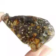 63CT Seymchan pallasite Meteorite SLICE From Russia TA748