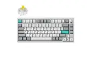 Keychron Lemokey P1 Pro RGB Space Silver Wireless Mechanical Gaming Keyboard - Super Banana Switch (KBKCP1PX4)