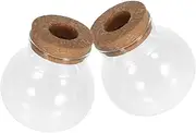 INOOMP 2pcs Hydroponic Planters Glass Vases for Indoor Plants Decorative Desktop Propagation Station Glass Pots for Plants Gardeners and