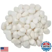 MSI Decorative Tumbled White Pebbles, 0.25 inch - 0.75 inch, 40 lb. Bag