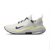 在飛比找Yahoo!奇摩拍賣優惠-Nike React Infinity Run 4 GTX 