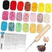 DIYEAH 1 Set Needle Felting Kit for Beginners Colors of Wool Roving Each with Needles Thick Fine Bottle DIY Craft Tools for Creative Projects