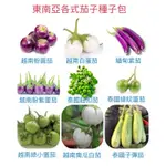 🌱 【茄子種子】越南蛋茄/泰國蛋茄/馬可/Cà PHáO/綠小蛋茄/紫圓茄/白小蛋茄/粉紫小蛋茄/白南瓜茄/越南蛋茄/