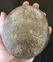 LARGE Michigan Favosites Charlevoix Stone Fossil 5"x4.5"x3" MUSEUM QUALITY 3LB