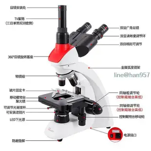 晶華大觀電子生物雙目顯微鏡學生科學實驗教學畜牧養殖高倍