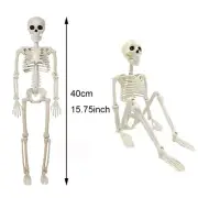 Halloween Poseable Full Life Skeleton Party Prop Decoration Human Anatomy Model