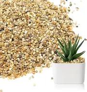 Coarse Sand Stone - Succulents and Cactus Bonsai DIY Projects Rocks, Decorative Gravel for Plants and Vases Fillers，Terrarium, Fairy Gardening, Natural Stone Top Dressing for Potted Plants.1.6lb