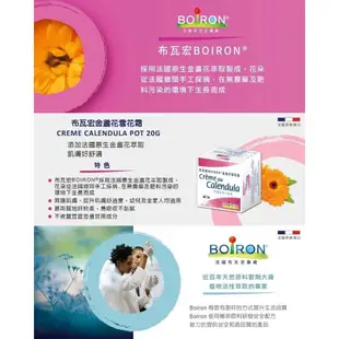 法國 BOIRON 布瓦宏金盞花雪花霜 20g【安琪兒婦嬰百貨】