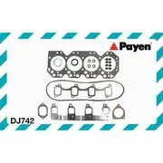 Payen Head Set (VRS) - DJ742