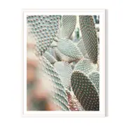 Full Cactus 2 Framed Printed Wall Art - White