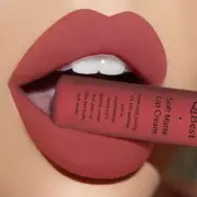 Matte Velvet Liquid Lipstick Long Lasting Cosmetic Makeup Lip Gloss Waterproof