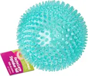 ™ 4.5” Spiky Squeaker Ball Dog Toy - Extra Large, Cleans Teeth and Promotes Good