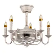 Ceiling Fan with Lights and Remote,22" Small Chandelier Ceiling Fans with Lig...