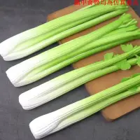 在飛比找樂天市場購物網優惠-仿真芹菜假西芹掛串蔬菜模型兒童認知果蔬玩具水果裝飾道具掛件