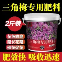 在飛比找蝦皮購物優惠-園藝肥料 三角梅專用肥料臘梅紅梅花肥綠植花卉盆栽通用有機顆粒