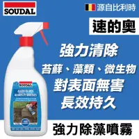 在飛比找momo購物網優惠-【SOUDAL】Antimos Clear 強力除藻噴霧(速