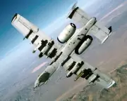 A-10 WARTHOG THUNDERBOLT 8x10 GLOSSY PHOTO PRINT