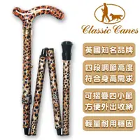 在飛比找ETMall東森購物網優惠-英國Classic Canes 可摺疊收納+調整高低手杖-4