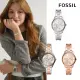 【FOSSIL 官方旗艦館】RYE系列 經典大錶徑三眼女錶 不鏽鋼錶帶指針手錶 36MM(多色可選)