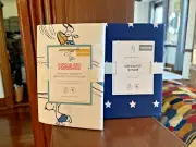 Snoopy Disney Pottery Barn School peanuts Pillowcase Holiday + surf Dog Sham SET