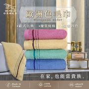 【OKPOLO】台灣製造歐洲色毛巾