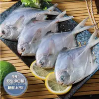 在飛比找樂天市場購物網優惠-【鮮綠生活】野生小白鯧魚4隻入