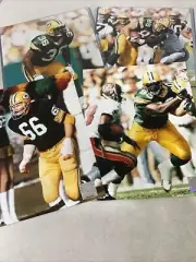 Lot of 4 Green Bay Packers Color 8x10 Photos - Holliday Nitschke Chmura Butler