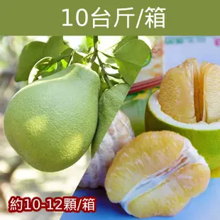 【柚香美地】產銷履歷麻豆文旦(10台斤/箱)(約10-12顆)