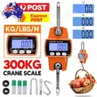 Mini Crane Scale Portable LCD Digital Electronic Hook Hanging Scale 300kg 0.1kg