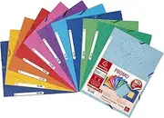 Exacompta - Ref 55510AMZE - Glossy Elasticated Folder - Suitable for A4 Documents, 400gsm Glossy Card, Spine Label for Easy Identification - Assorted Colours (Pack of 11)