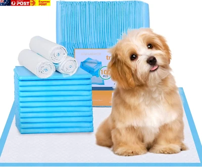 Disposable Training Pads 60X60Cm, 100PCS Pet Training Puppy Dog Pee Pads Super A