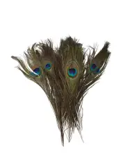 Fly Fishing Bait Tying Materials 1020pcs Peacock Tail Natural DIY Craft