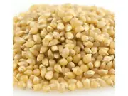 Medium White Bulk Popcorn 1 Pound Popcorn Kernels
