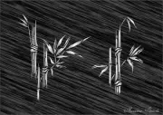 Large Stencil Pattern - Bamboo #1 - For Crafting Painting Art