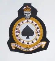 Bizarre Fighter Pilot Dead Mans Hand Ace of Spades Skull 666 999 Patch Squadron
