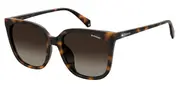 POLAROID-PLD 4083/F/S-86-5619-SUNGLASSES