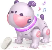 Robot Dog Toys, Remote Control Robot Pet for Kids, Robot Puppy Dog Dancing Music