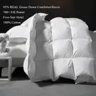 Thick Goose Down Duvet All Season Down Comforter Fluffy Quilt Goose Down Blanket