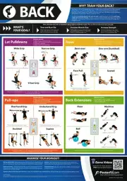 BACK WORKOUT Professional Fitness Training Gym PosterFit POSTER w/QR Code