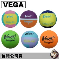 在飛比找蝦皮購物優惠-Vega 3號躲避球 躲避球 發泡球 軟式發泡球 3號球