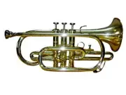 Cornet Trumpet Golden Finish BB Flat Pitch Musical Instrument Free Case+M/P
