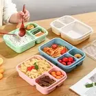 On-the-go Meal Prep Containers Divided Lunch Box Reusable Bento for Adults Kids