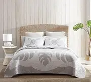 [Tommy Bahama] King Quilt, Reversible Cotton Bedding, Lightweight Home Decor for All Seasons (Grey/Off White, King)