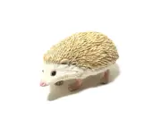 Kaiyodo Japan Exclusive Manchurian Hedgehog Figure A