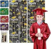 5 Pcs Foil Tassel Curtains for Graduation Party Decoration Graduation Photo Booth Props Backgrounds