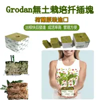 在飛比找蝦皮購物優惠-🌷小青青樂購🌷現貨荷蘭進口Grodan水培扦插播種育苗 無土