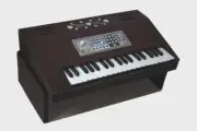 Radel Maadhurium Digital 3 Octave 37 keys Scale Changer Electronic Harmonium