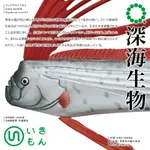 【盧卡斯偷椅子】現貨 正版 日版 IKIMON NTC圖鑑 深海生物珠鍊吊飾 磁鐵 深海生物 扭蛋 轉蛋 公仔