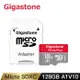 Gigastone 128GB micro SDXC UHS-Ⅰ U1 記憶卡(128G A1V10 高速記憶卡)